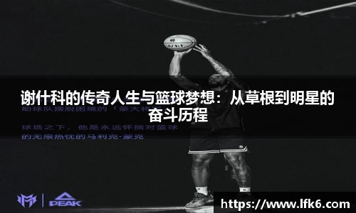 谢什科的传奇人生与篮球梦想:从草根到明星的奋斗历程
